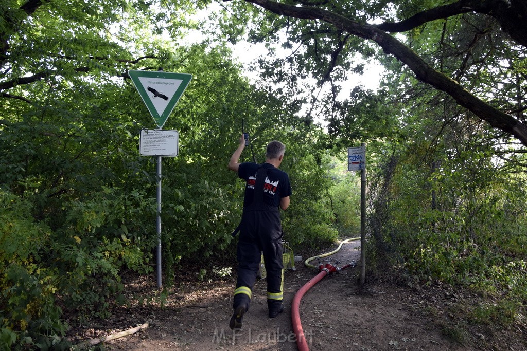 Waldbrand Koeln Hoehenhaus Hoehenfelder Mauspfad P085.JPG - Miklos Laubert